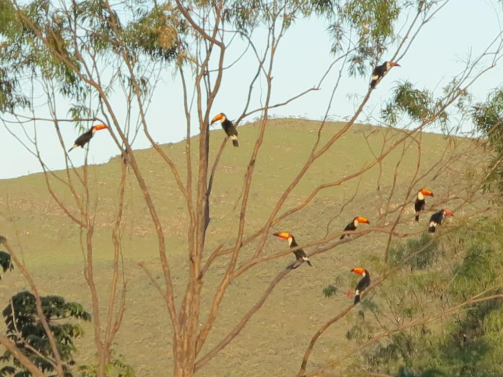 Pousada Recanto Da Grande Paz Hotel Alto Paraiso de Goias Luaran gambar